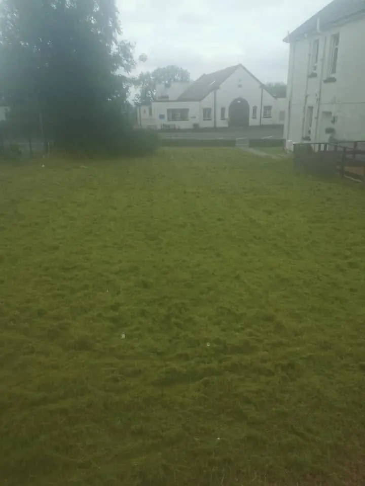 The same grass cut short